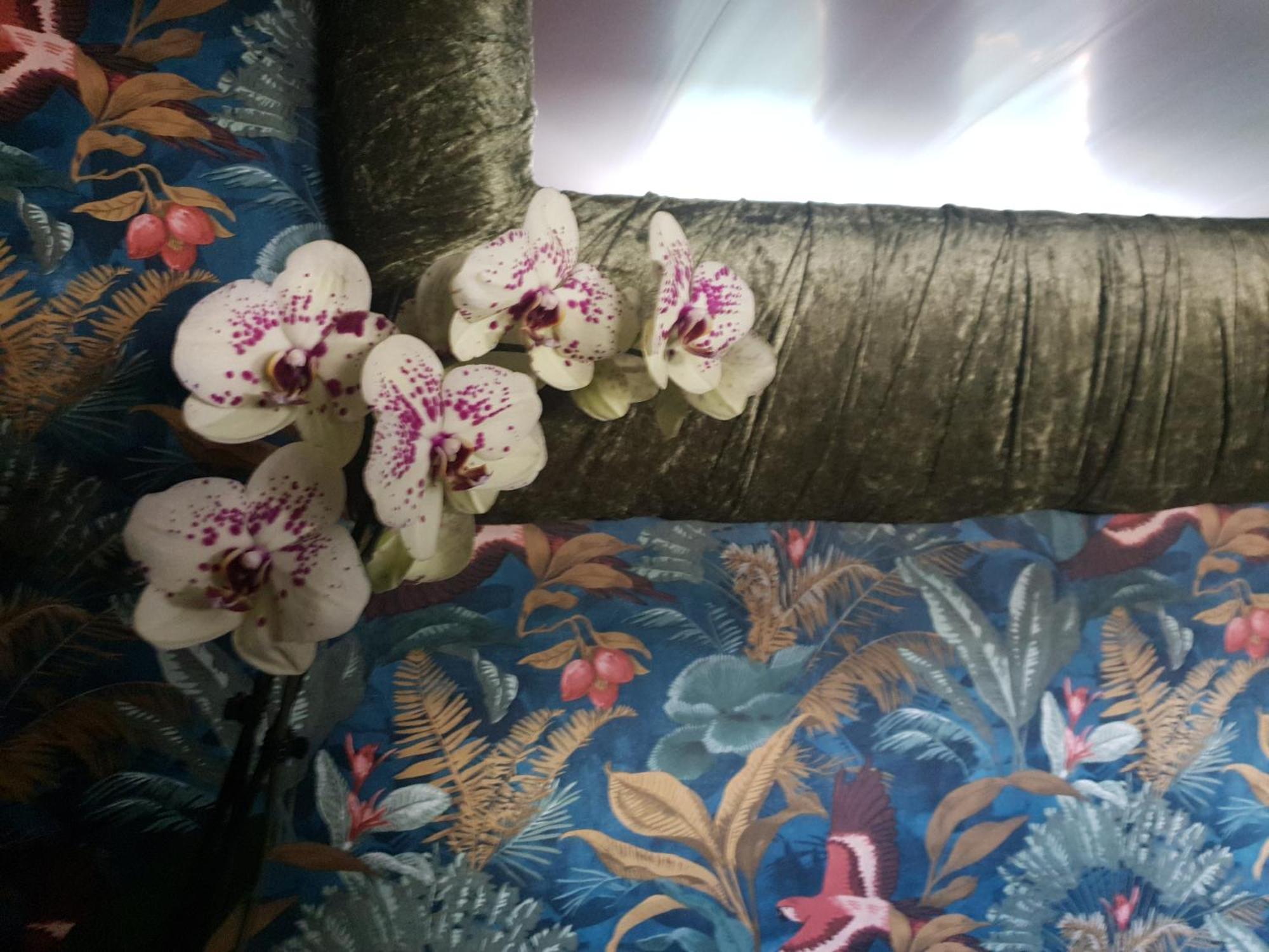 Jasmine Coral Jay Boutique Boatel Ocean Village Gibraltar Pokoj fotografie