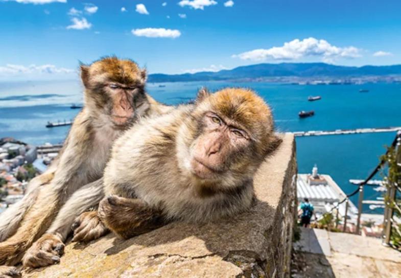 Jasmine Coral Jay Boutique Boatel Ocean Village Gibraltar Exteriér fotografie